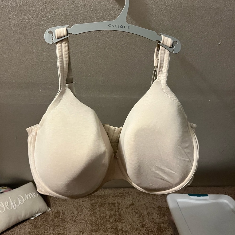 lane bryant t-shirt bra
